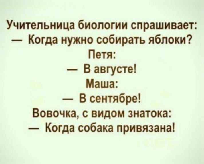 Учительница биологии спрашивает: — Когда нужно собирать яблоки? Петя: — В августе! Маша: — В сентябре! Вовочка, с видом знатока: — Когда собака привязана!