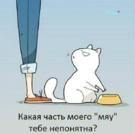 Какая часть моего 