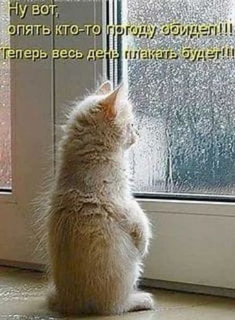 Ну вот, опять кто-то погоду обидел!!! Теперь весь день плакать будет!!!