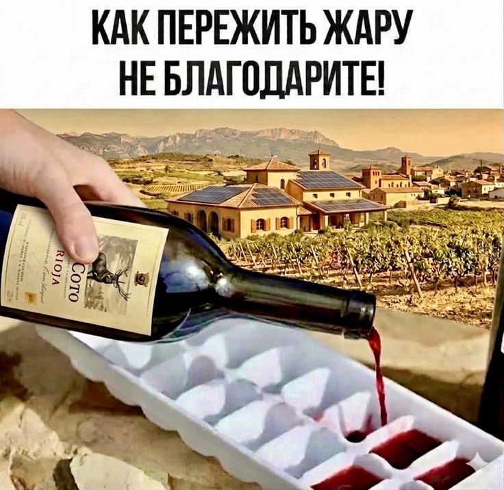 КАК ПЕРЕЖИТЬ ЖАРУ НЕ БЛАГОДАРИТЕ! Рука наливает красное вино из бутылки COTO RIOJA в форму для льда на фоне виноградников и домов.