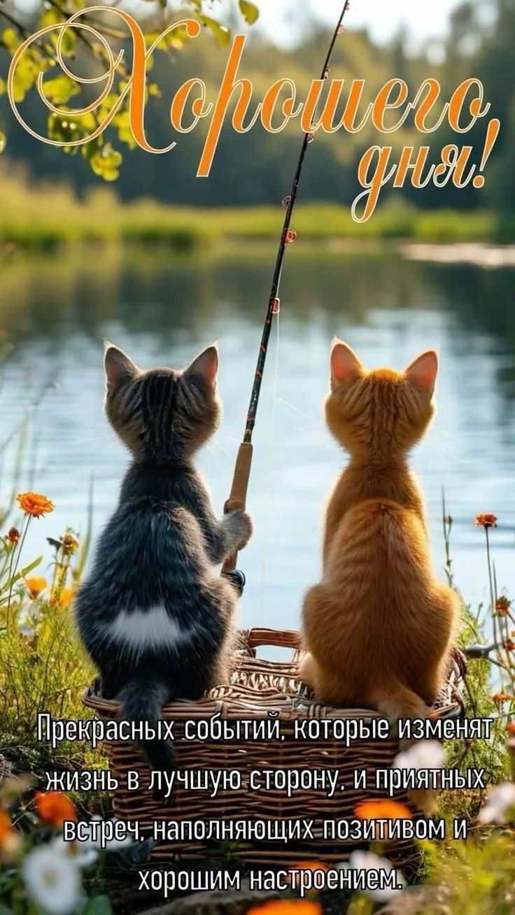 Хорошего дня! Прекрасных событий, которые изменят жизнь в лучшую сторону, и приятных встреч, наполняющих позитивом и хорошим настроением.
