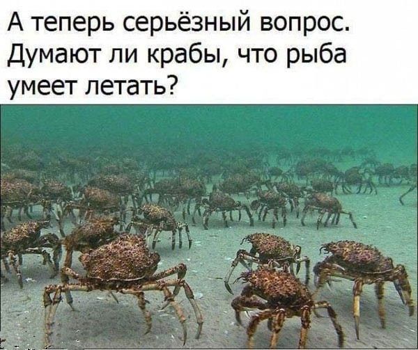 А теперь серьезный вопрос. Думают ли крабы, что рыба умеет летать?