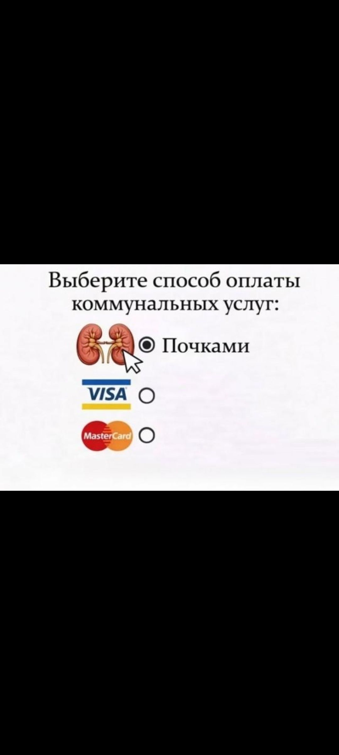 Выберите способ оплаты коммунальных услуг: Почками, VISA, MasterCard