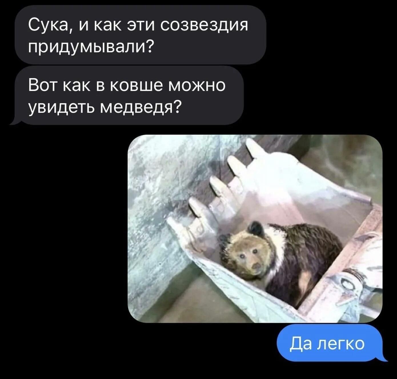 Сука, и как эти созвездия придумывали? Вот как в ковше можно увидеть медведя? Да легко