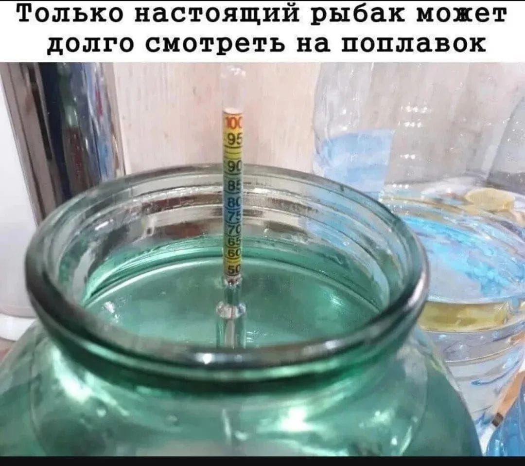 Только настоящий рыбак может долго смотреть на поплавок