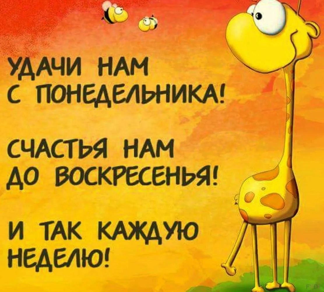 УДАЧИ НАМ С ПОНЕДЕЛЬНИКА! СЧАСТЬЯ НАМ ДО ВОСКРЕСЕНЬЯ! И ТАК КАЖДУЮ НЕДЕЛЮ!