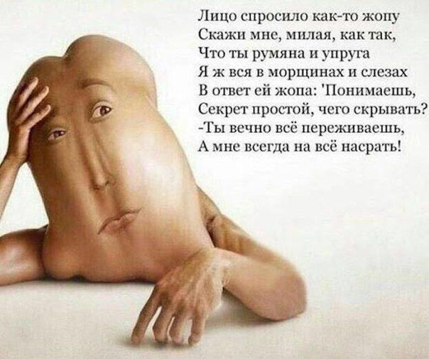 Лицо спросило как-то жопу Скажи мне, милая, как так, Что ты румяна и упруга Я ж вся в морщинах и слезах В ответ ей жопа: 'Понимаешь, Секрет простой, чего скрывать? -Ты вечно всё переживаешь, А мне всегда на всё насрать!'