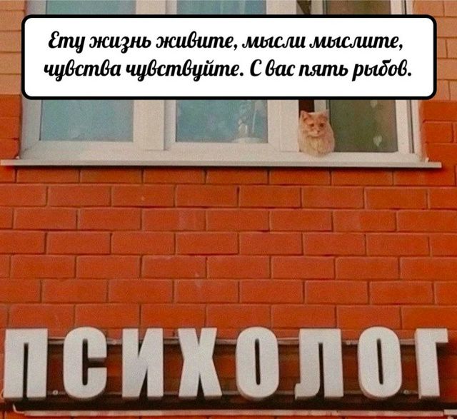 Эту жизнь живите, мысли мыслите, чувства чувствуйте. С вас пять рыбов. ПСИХОЛОГ