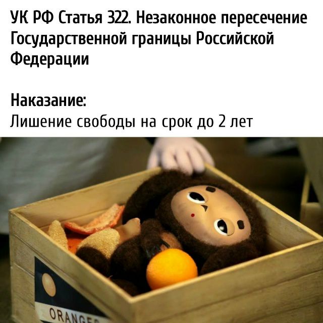 УК РФ Статья 322. Незаконное пересечение Государственной границы Российской Федерации Наказание: Лишение свободы на срок до 2 лет ORANGES