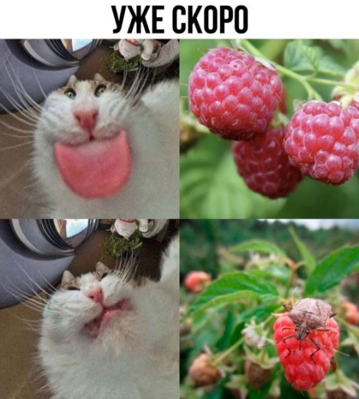 УЖЕ СКОРО