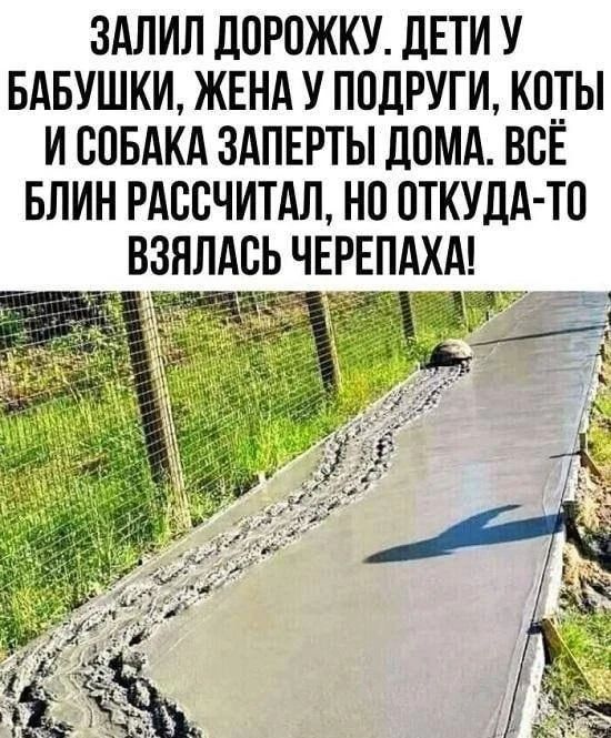 ЗАЛИЛ ДОРОЖКУ. ДЕТИ У БАБУШКИ, ЖЕНА У ПОДРУГИ, КОТЫ И СОБАКА ЗАПЕРТЫ ДОМА. ВСЁ БЛИН РАССЧИТАЛ, НО ОТКУДА-ТО ВЗЯЛАСЬ ЧЕРЕПАХА!