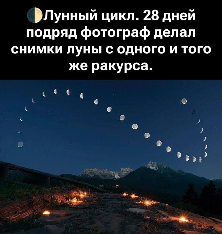 Лунный цикл. 28 дней подряд фотограф делал снимки луны с одного и того же ракурса.