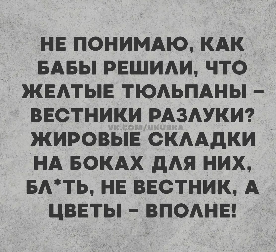 НЕ ПОНИМАЮ, КАК БАБЫ РЕШИЛИ, ЧТО ЖЕЛТЫЕ ТЮЛЬПАНЫ – ВЕСТНИКИ РАЗЛУКИ? ЖИРОВЫЕ СКЛАДКИ НА БОКАХ ДЛЯ НИХ, БЛ*ТЬ, НЕ ВЕСТНИК, А ЦВЕТЫ – ВПОЛНЕ!