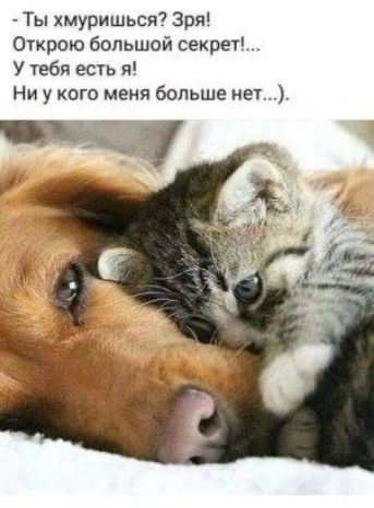 Ты хмуришься? Зря! Открою большой секрет!... У тебя есть я! Ни у кого меня больше нет...).