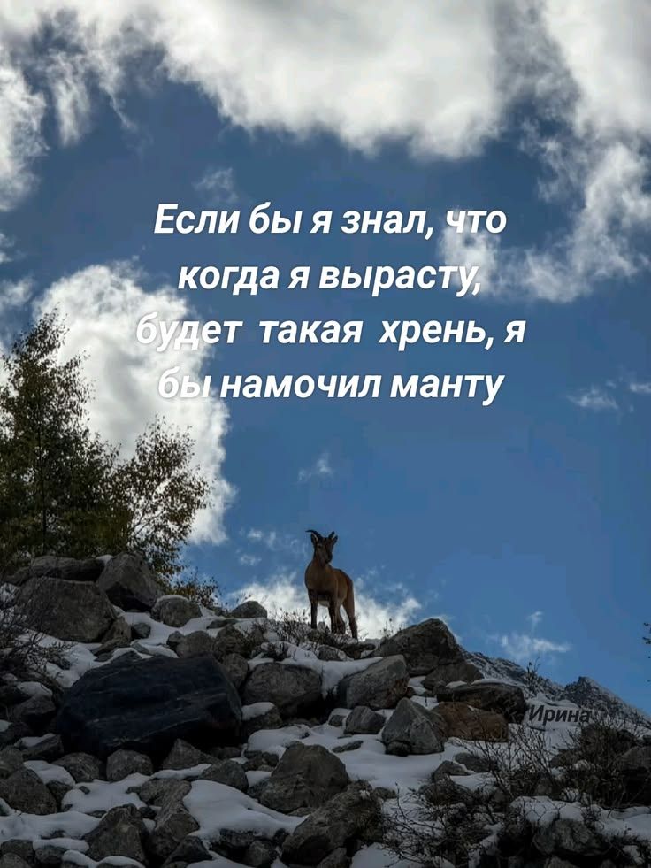 Если бы я знал, что когда я вырасту, будет такая хрень, я бы намочил манту