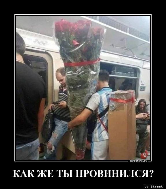 КАК ЖЕ ТЫ ПРОВИНИЛСЯ?