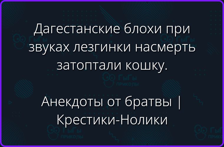 Дагестанские блохи при звуках лезгинки насмерть затоптали кошку. Анекдоты от братвы | Крестики-Нолики