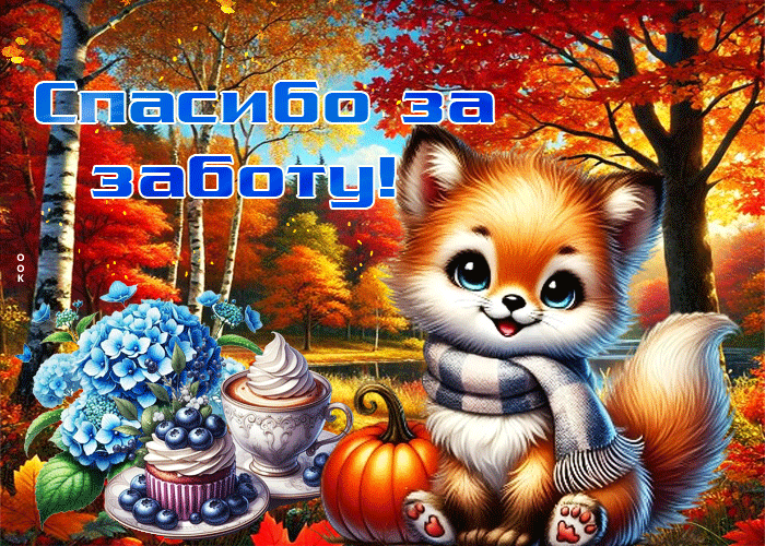 Спасибо за заботу!