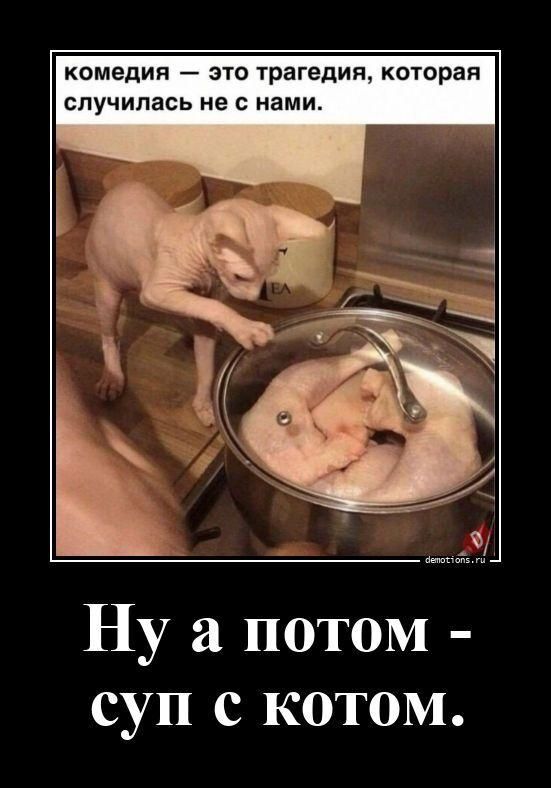 комедия — это трагедия, которая случилась не с нами. Ну а потом - суп с котом.