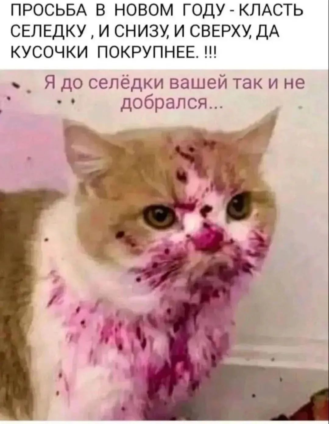 ПРОСЬБА В НОВОМ ГОДУ - КЛАСТЬ СЕЛЕДКУ , И СНИЗУ, И СВЕРХУ, ДА КУСОЧКИ ПОКРУПНЕЕ. !!! Я до селёдки вашей так и не добрался...