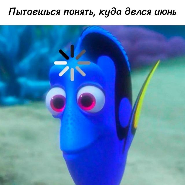 Пытаешься понять, куда делся июнь