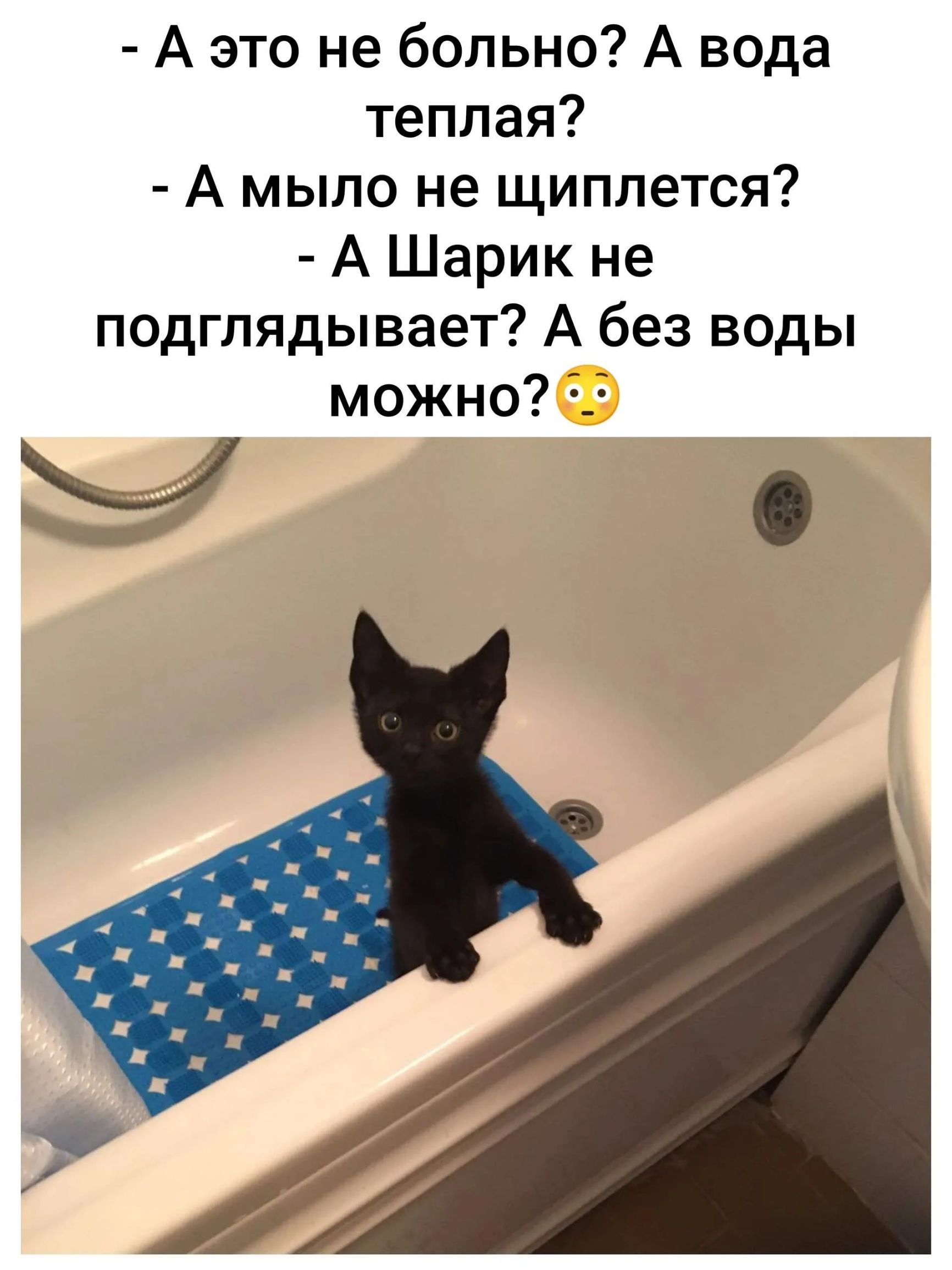 - А это не больно? А вода теплая?
- А мыло не щиплет?
- А Шарик не подглядывает? А без воды можно? 😳