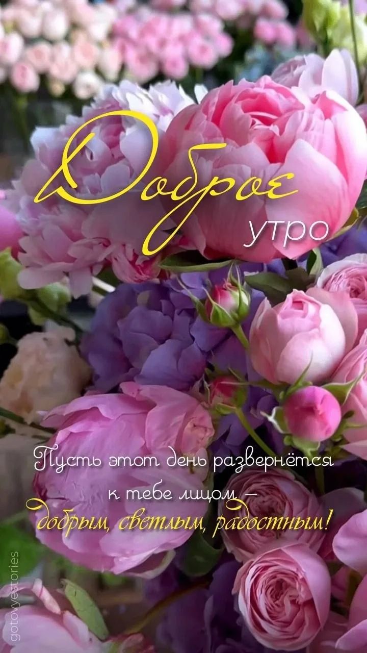Доброе утро. Пусть этот день развернётся к тебе лицом — добрым, светлым, радостным!