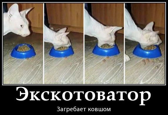 ЭксКотОватор Загребает ковшом