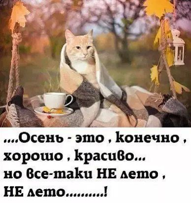 Осень - это, конечно, хорошо, красиво... но все-таки НЕ лето, НЕ лето.........!