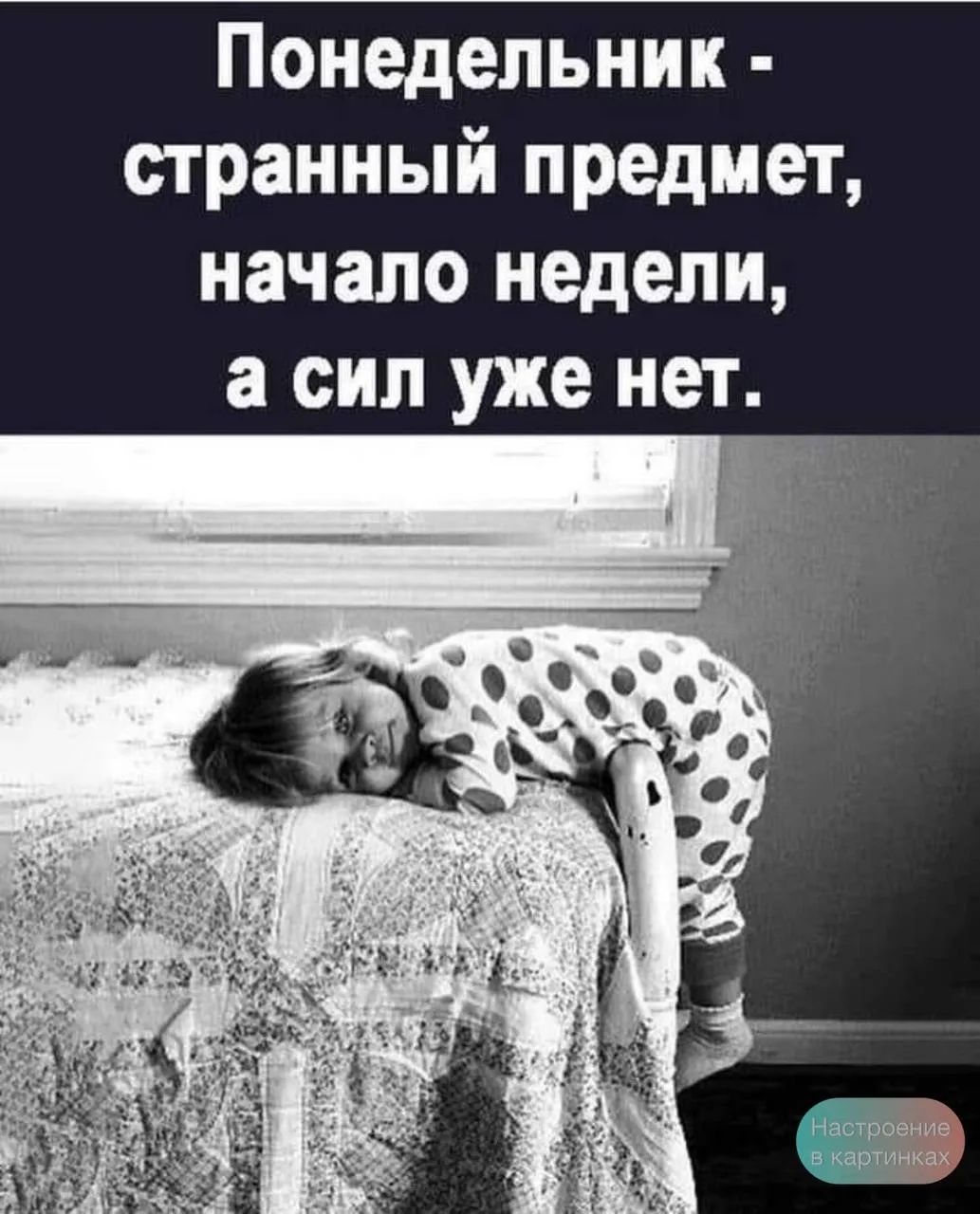 Понедельник - странный предмет, начало недели, а сил уже нет. Настроение в картинках
