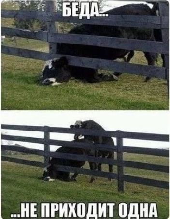 БЕДА... ...НЕ ПРИХОДИТ ОДНА