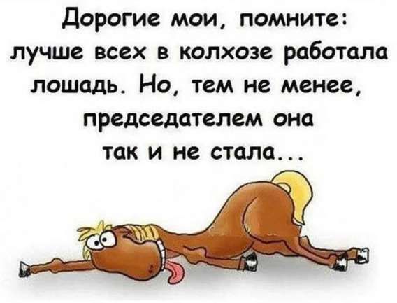 Дорогие мои, помните: лучше всех в колхозе работала лошадь. Но, тем не менее, председателем она так и не стала...
