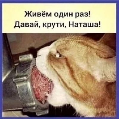 Живём один раз! Давай, крути, Наташа!