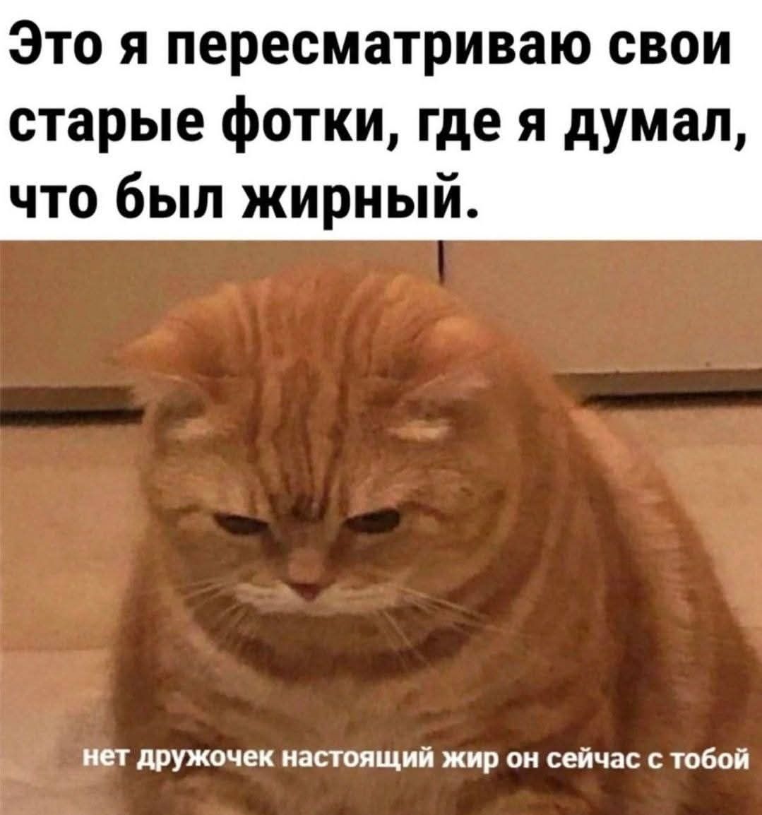 Это я пересматриваю свои старые фотки, где я думал, что был жирный. нет дружочек настоящий жир он сейчас с тобой