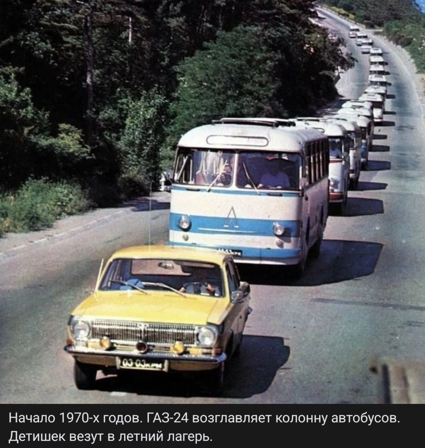 Начало 1970-х годов. ГАЗ-24 возглавляет колонну автобусов. Детишек везут в летний лагерь.