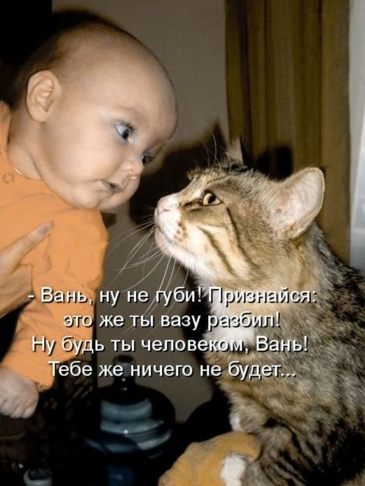 — Вань, ну не губи! Признайся: это же ты вазу разбил! Ну будь ты человеком, Вань! Тебе же ничего не будет...