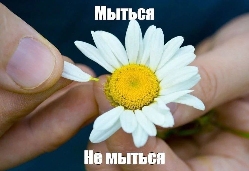 Мыться Не мыться