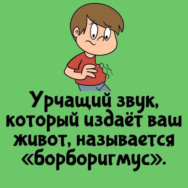 Урчащий звук, который издаёт ваш живот, называется «борборигмус».