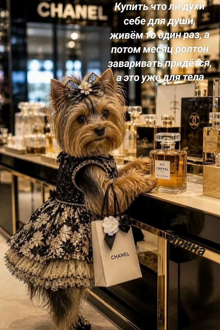 Купить что ли духи себе для души, живём то один раз, а потом месяц ролтон заваривать придётся, а это уже для тела