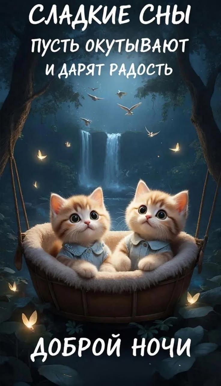 СЛАДКИЕ СНЫ ПУСТЬ ОКУТЫВАЮТ И ДАРЯТ РАДОСТЬ ДОБРОЙ НОЧИ