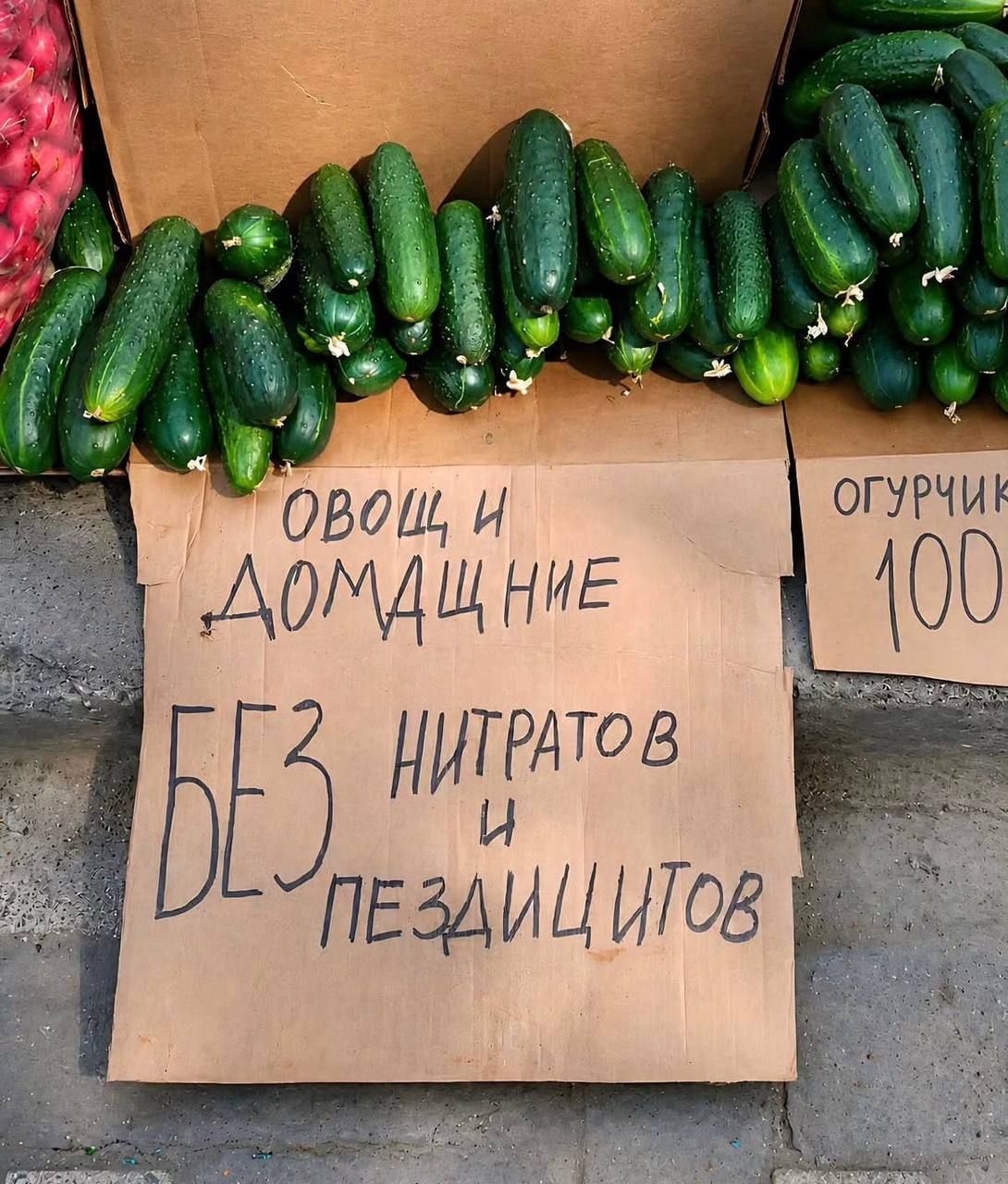 ОВОЩИ ДОМАШНИЕ БЕЗ НИТРАТОВ И ПЕЗДИЦИТОВ ОГУРЧИК 100