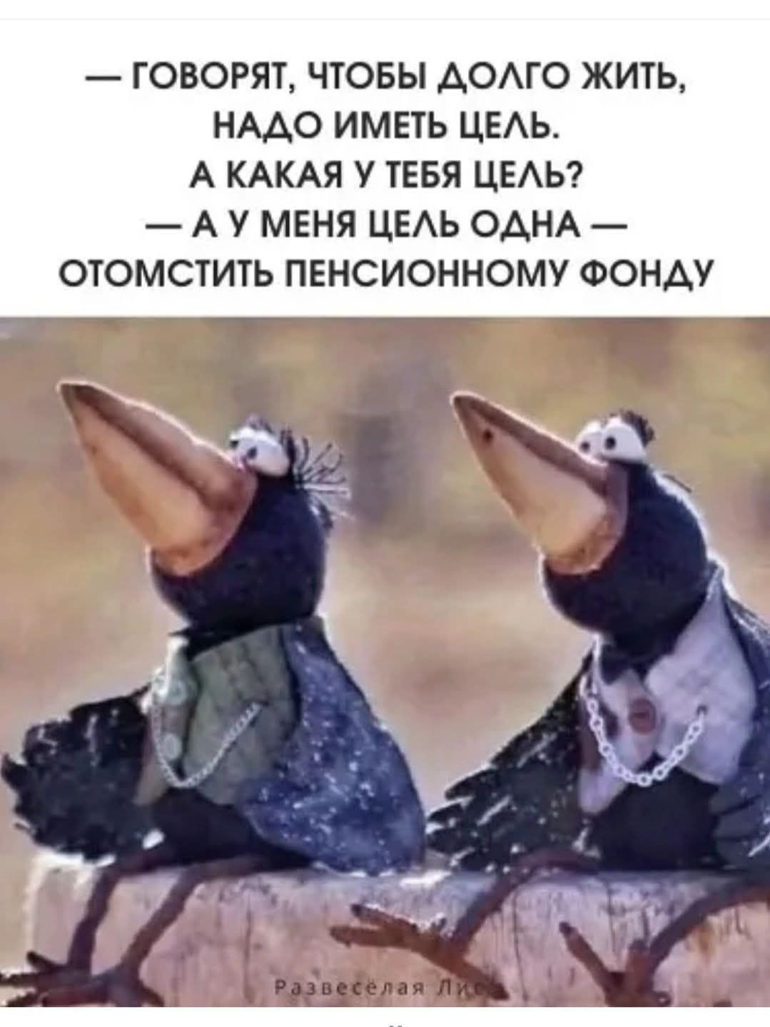 — ГОВОРЯТ, ЧТОБЫ ДОЛГО ЖИТЬ, НАДО ИМЕТЬ ЦЕЛЬ. А КАКАЯ У ТЕБЯ ЦЕЛЬ? — А У МЕНЯ ЦЕЛЬ ОДНА — ОТОМСТИТЬ ПЕНСИОННОМУ ФОНДУ