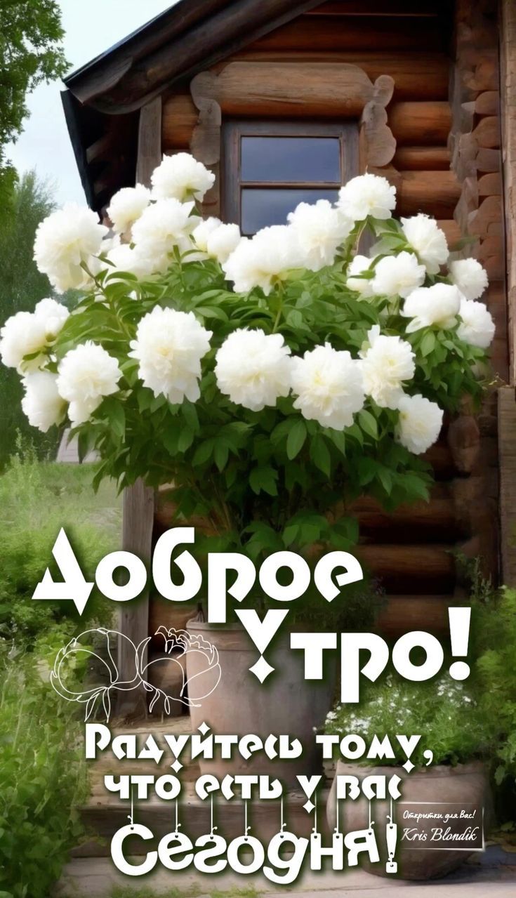 Доброе Утро! Радуйтесь тому, что есть у вас Сегодня! Открытки для Вас! Kris Blondik