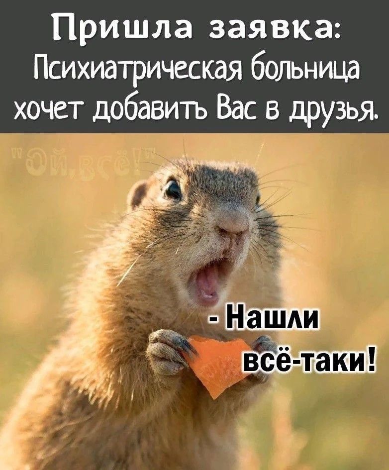 Пришла заявка: Психиатрическая больница хочет добавить Вас в друзья. 