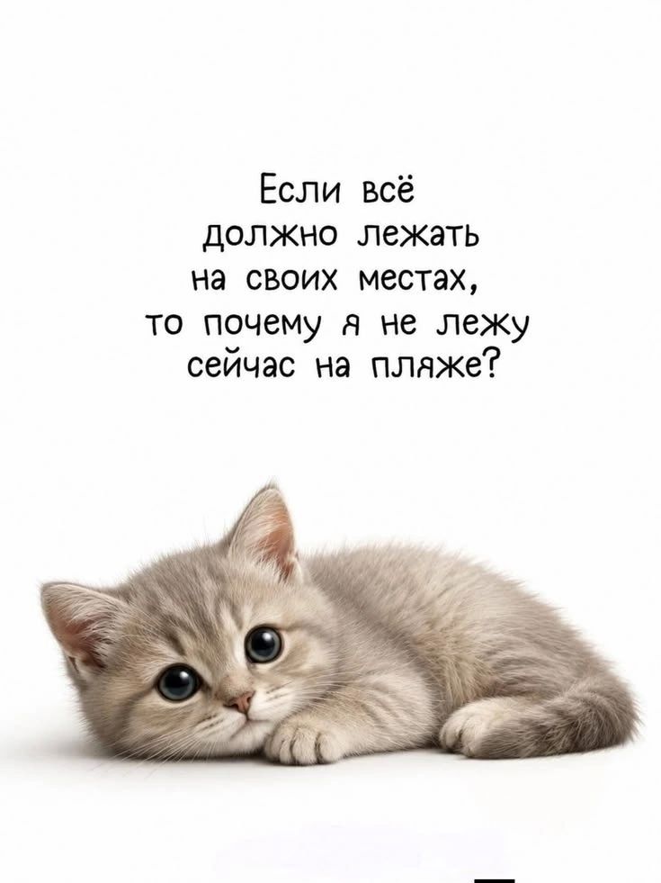 Если всё должно лежать на своих местах, то почему я не лежу сейчас на пляже?