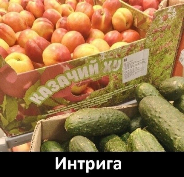 КАЗАЧИЙ ХУ Интрига