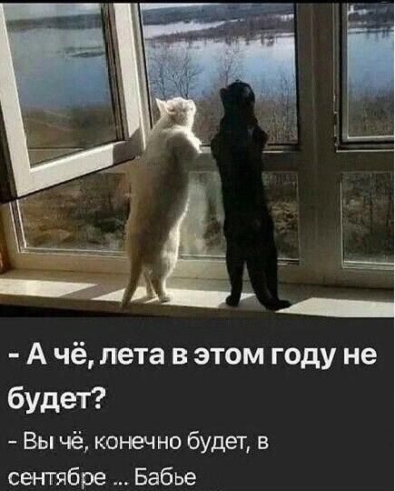 - А чё, лета в этом году не будет?
- Вы чё, конечно будет, в сентябре... Бабье