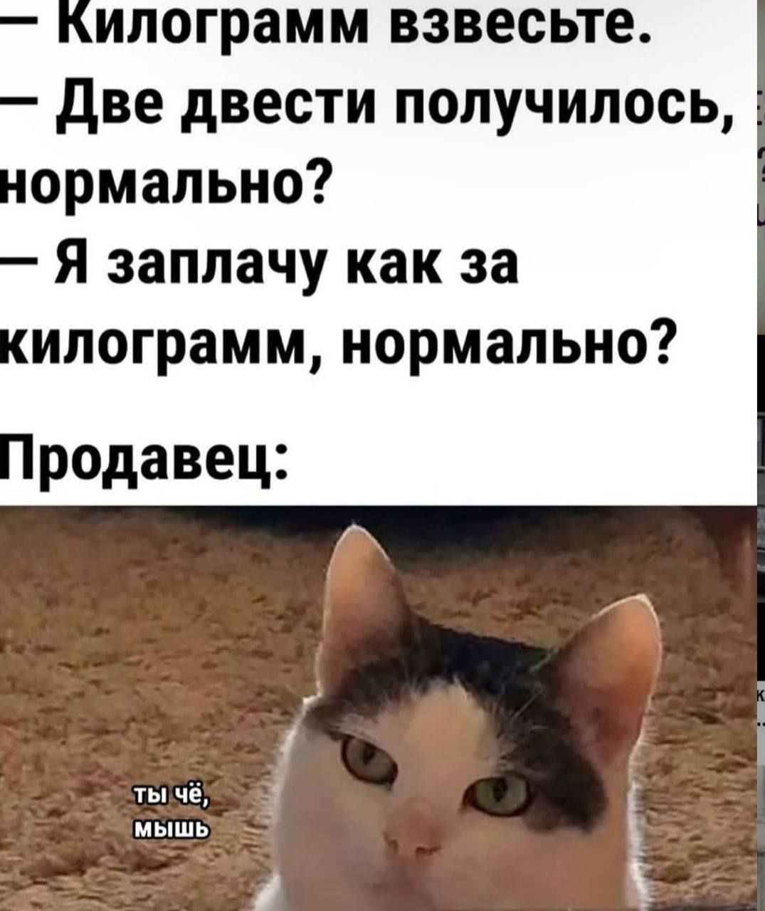 Килограмм взвесьте.
Две двести получилось, нормально?
Я заплачу как за килограмм, нормально?
Продавец:
ты чё, мышь