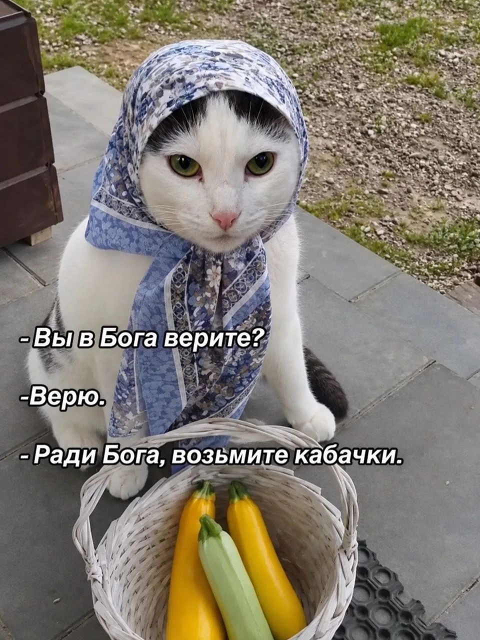 Вы в Бога верите? -Верю. -Ради Бога, возьмите кабачки.