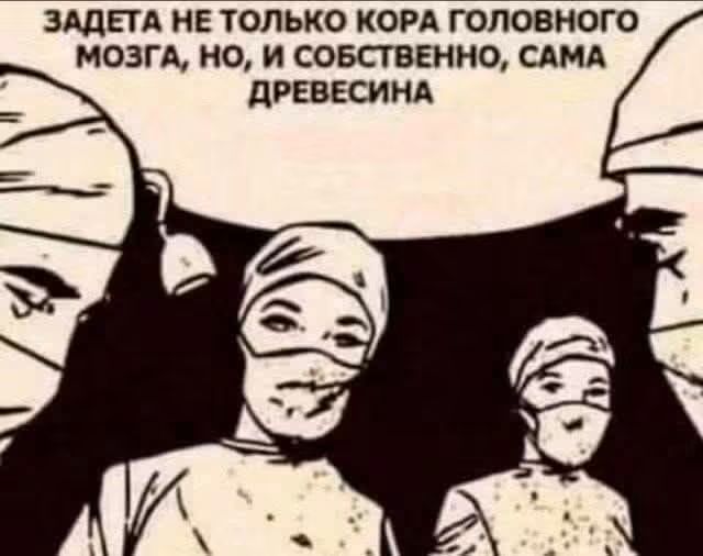 ЗАДЕТА НЕ ТОЛЬКО КОРА ГОЛОВНОГО МОЗГА, НО, И СОБСТВЕННО, САМА ДРЕВЕСИНА